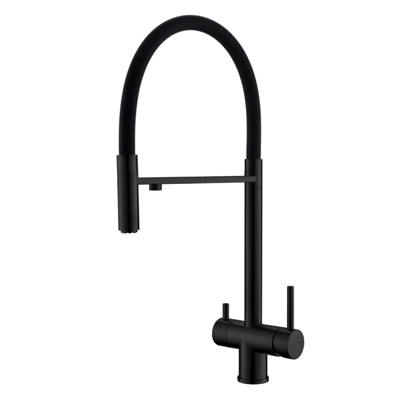 Смеситель для кухни с гибким изливом и подключением фильтра WesnaArt EKO05-160MatBlack, черный