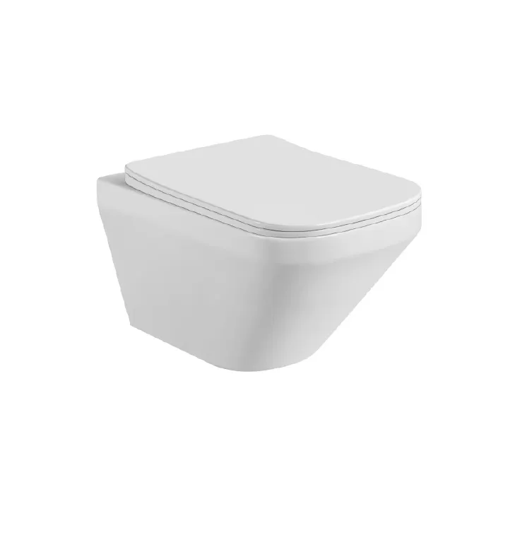 Set AQUATEK ЛИРА (рама AQUATEK Standard INS-0000012 с звукоиз.прокладкой+крепеж KKI-0000002+кнопкаKDI-0000009+унитаз ЛИРА AQ1155-00 с крышкой-сиденьем
