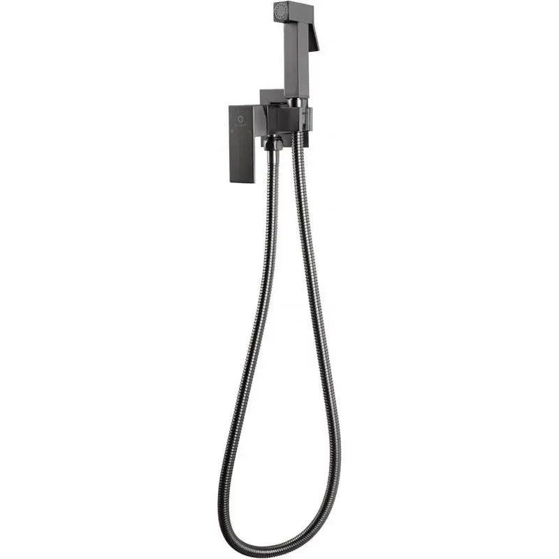 Гигиенический душ со смесителем встраиваемый FILARETE Fing FL101BG, графит