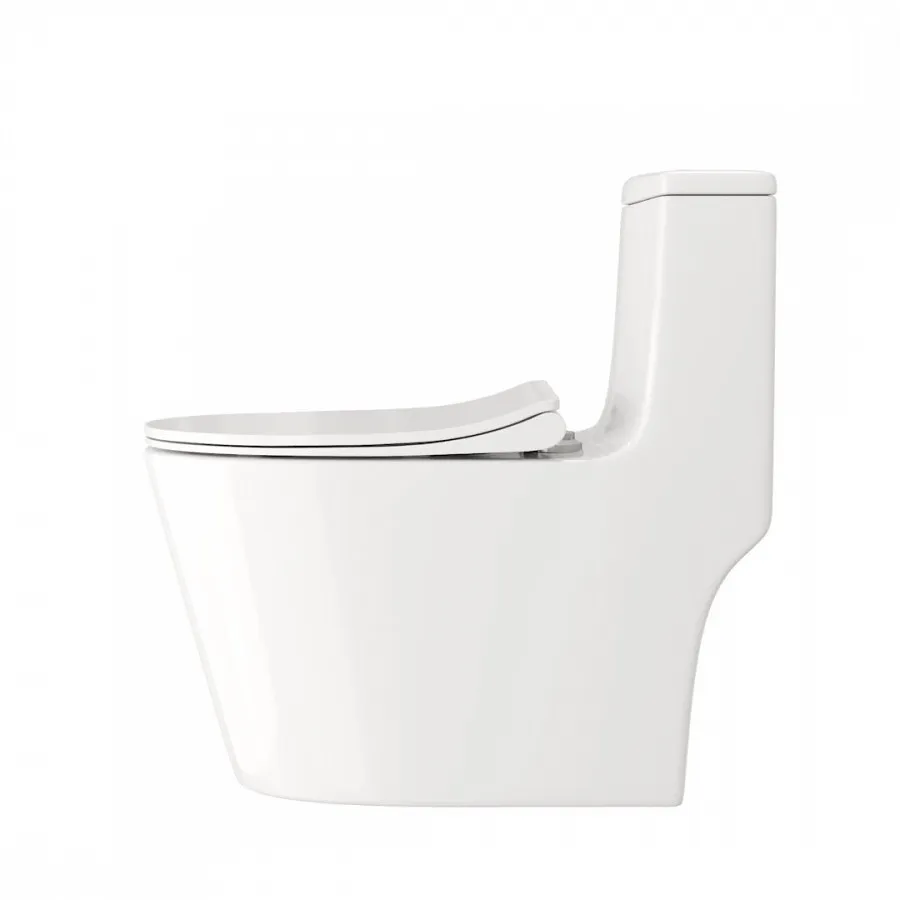 Унитаз напольный Maretti Florenza безободковый с микролифтом, FL10MNBM17-844, белый