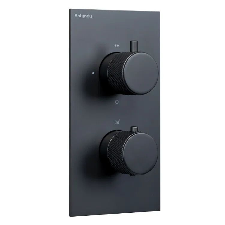 Смеситель для душа Splendy Passion на 2 потребителя черный матовый (PA204U2T2BM)