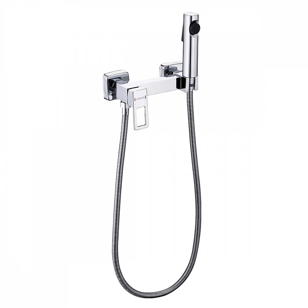 Гигиенический душ со смесителем Prohanss P91.51, хром
