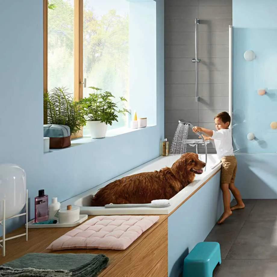 Термостат Hansgrohe Ecostat E для ванны хром (15774000)