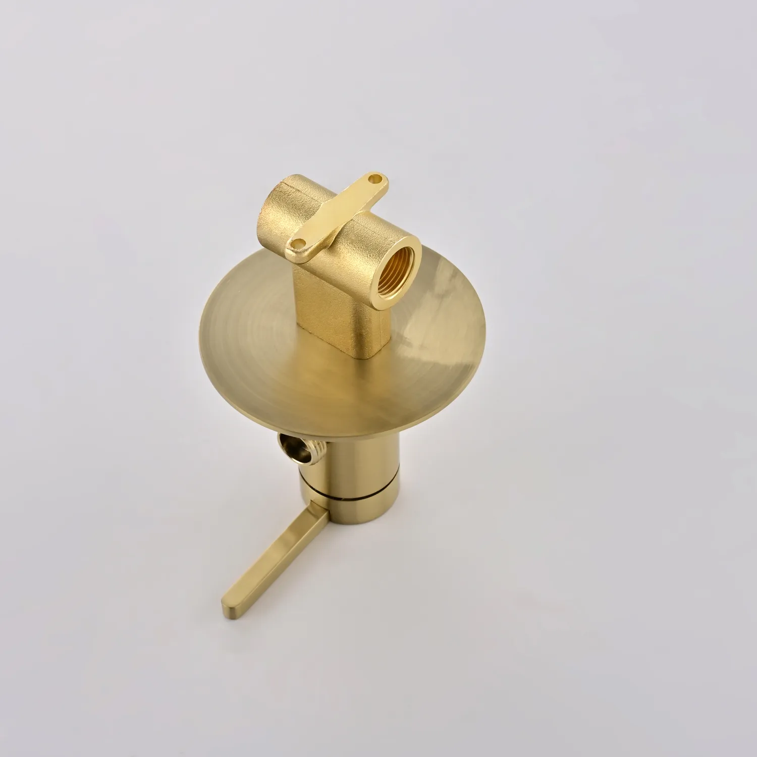 Гигиенический душ со смесителем Rose R235G, золотой сатин