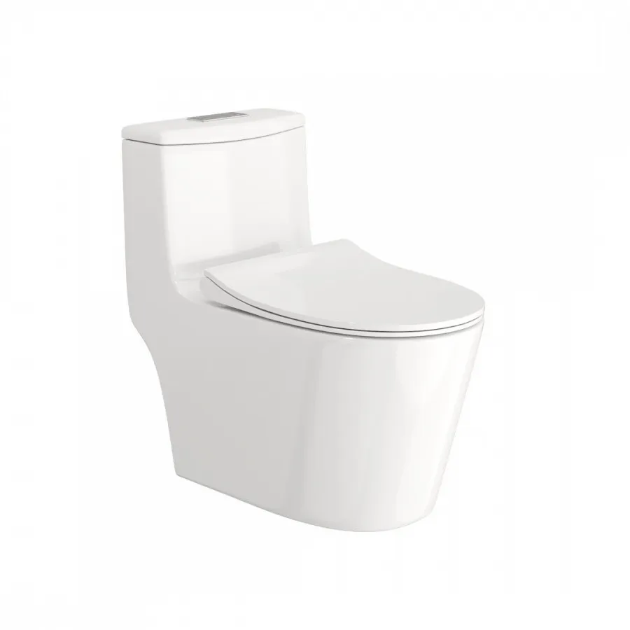 Унитаз напольный Maretti Florenza безободковый с микролифтом, FL10MNBM17-844, белый