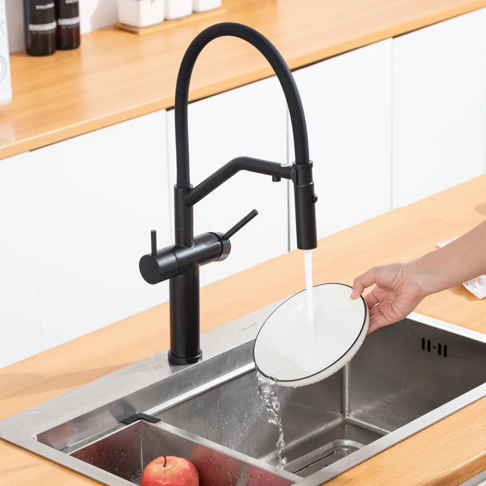 Смеситель для кухни с гибким изливом и подключением фильтра GAPPO G4399-86, черный