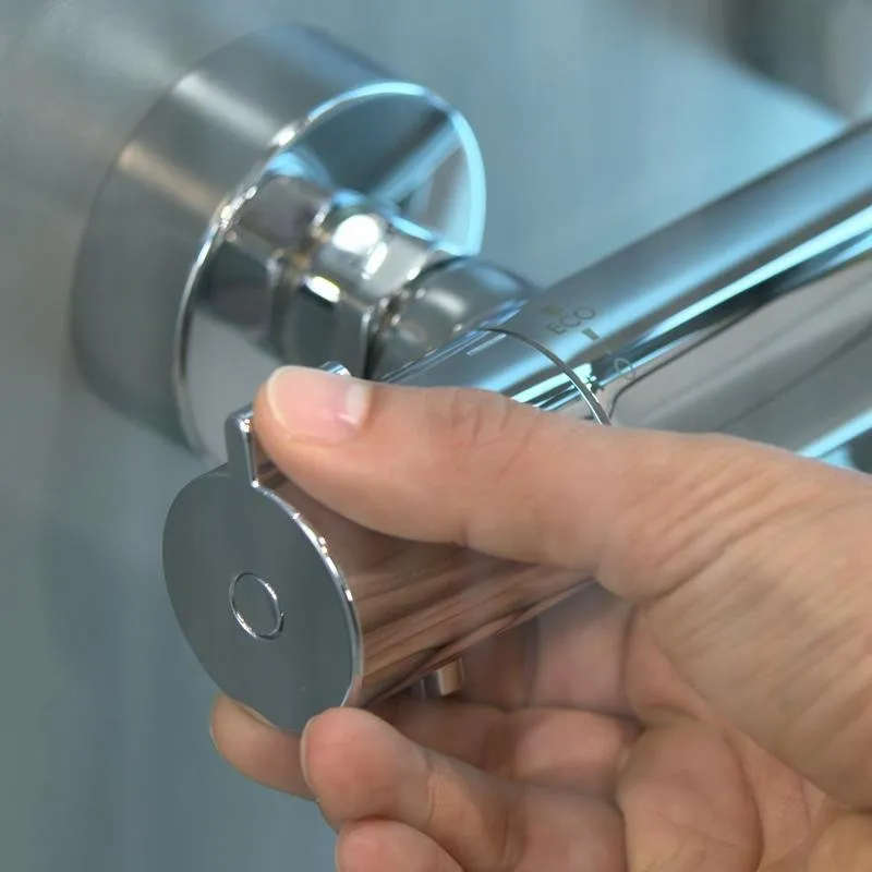 Термостат Hansgrohe Ecostat 1001 CL для душа хром (13211000)