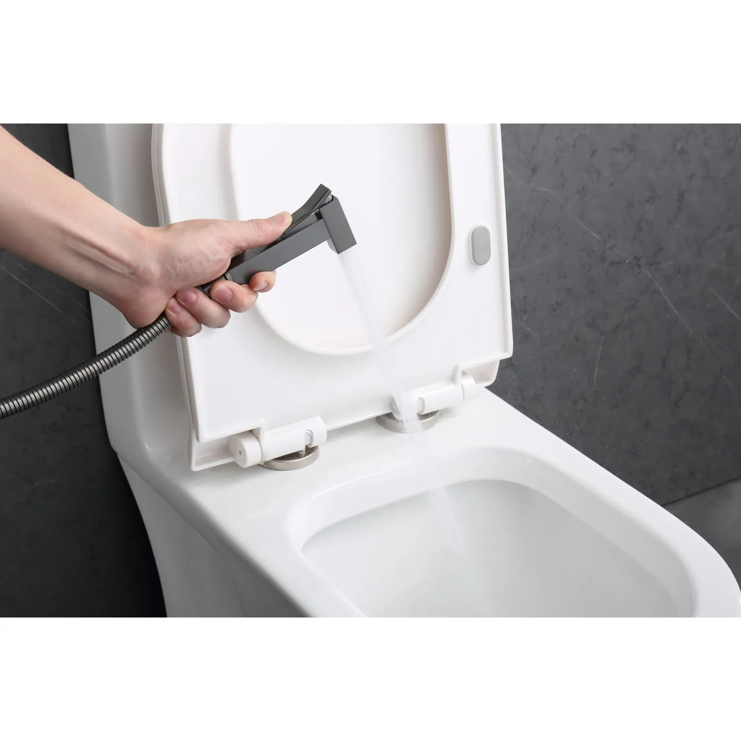 Смеситель Raglo встраиваемый с гигиеническим душем (R01.52.09)