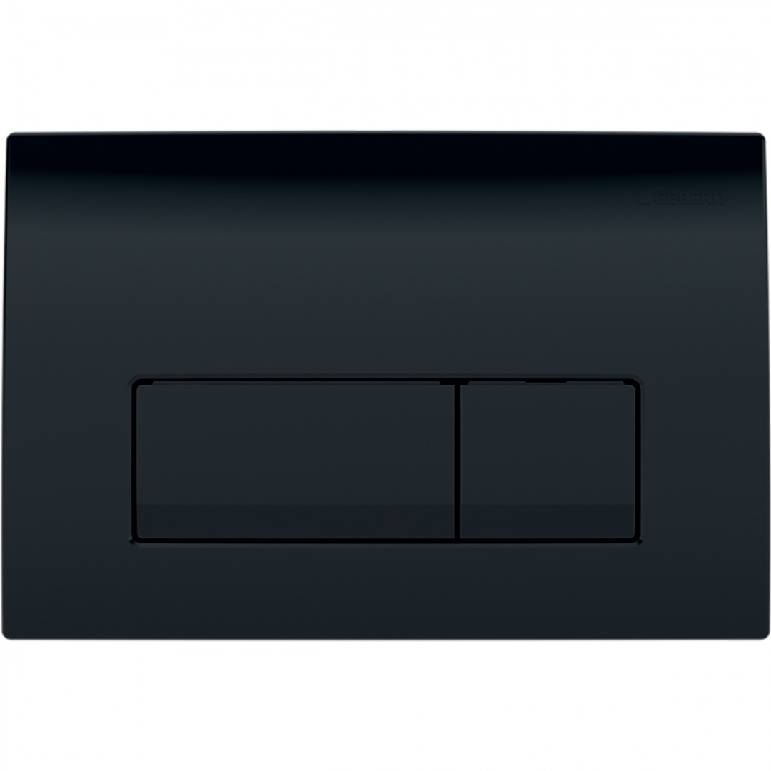 Кнопка для инсталляции для унитаза Geberit Delta 51 164x246 мм, черный (115.105.DW.1)