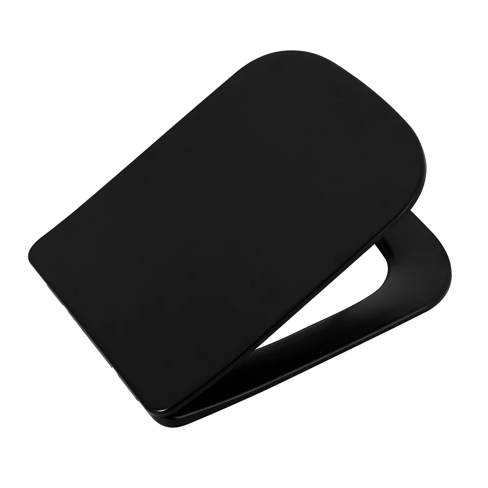 Крышка-сиденье BelBagno Ardente-C, чёрный матовый (BB3202SC-MB)