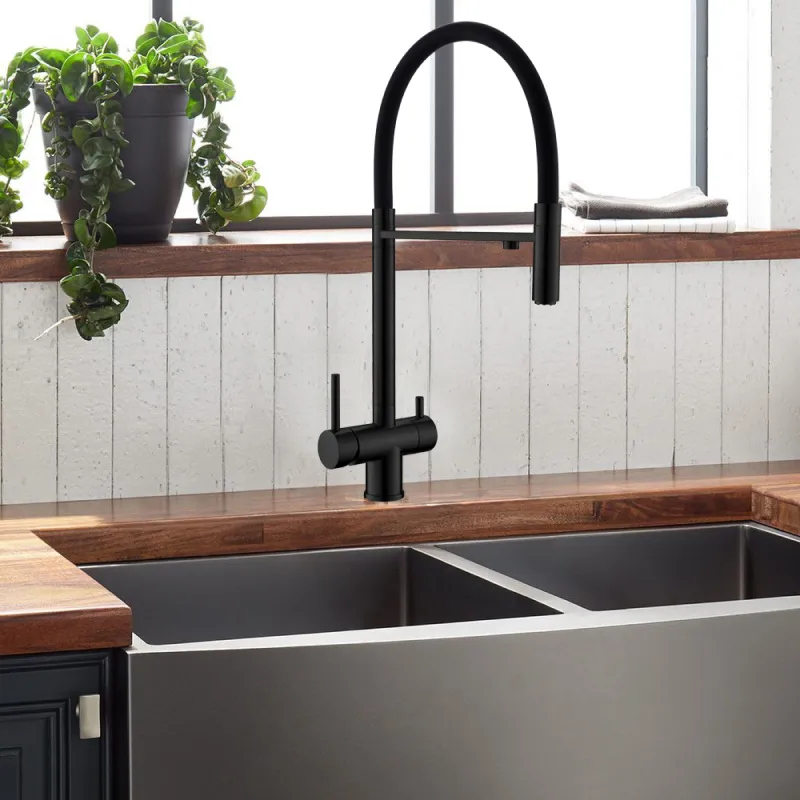 Смеситель для кухни с гибким изливом и подключением фильтра WesnaArt EKO05-160MatBlack, черный