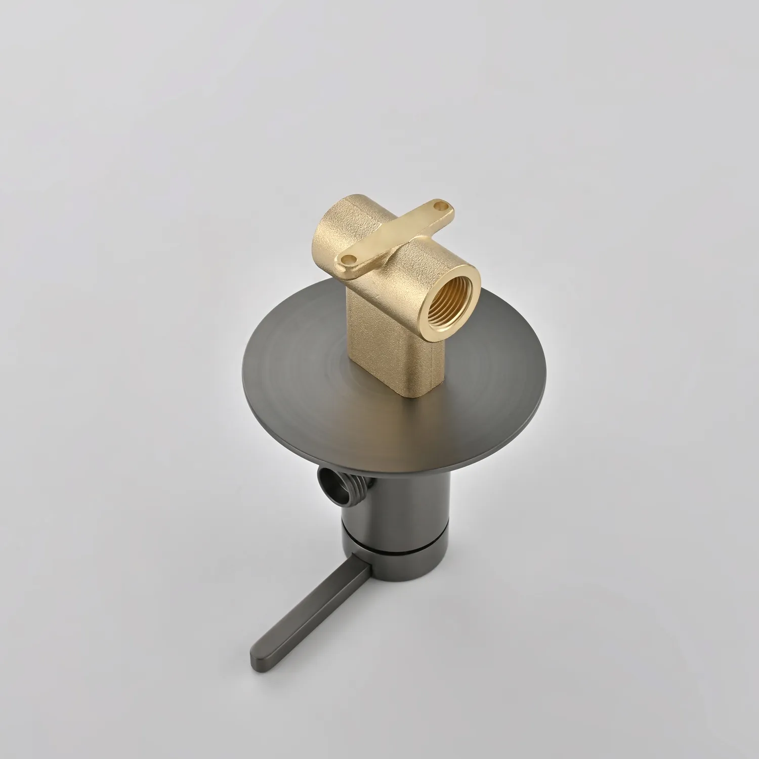 Гигиенический душ со смесителем Rose R235T, оружейная сталь