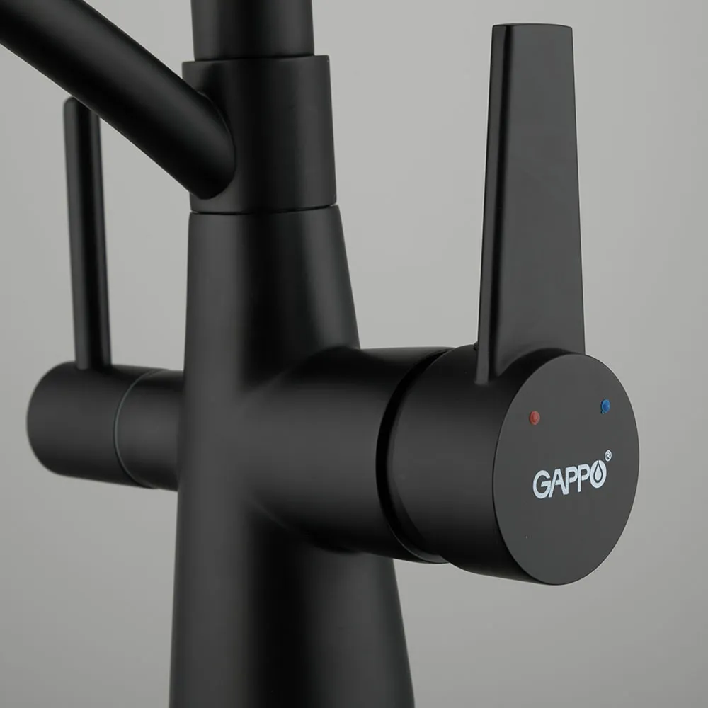 Смеситель для кухни с гибким изливом и подключением фильтра GAPPO G4398-16, черный