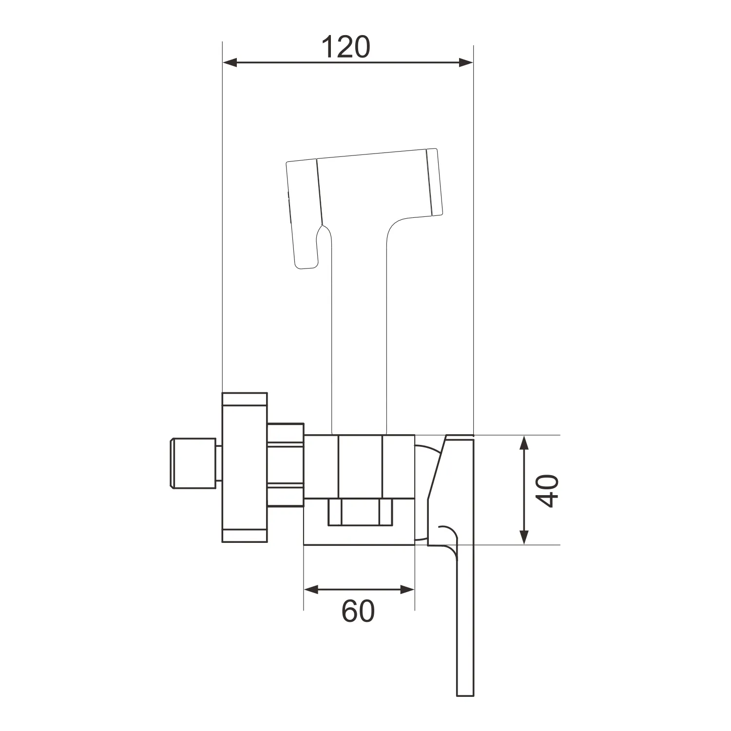Гигиенический душ со смесителем Rose R2805-1, хром
