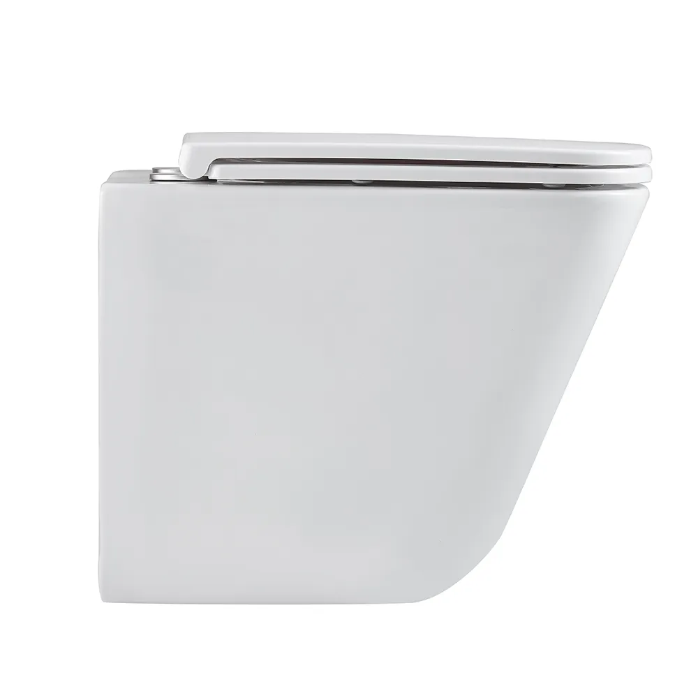 Унитаз подвесной Terminus Ватикан (Торнадо 3.0) 03WM49x34W, белый