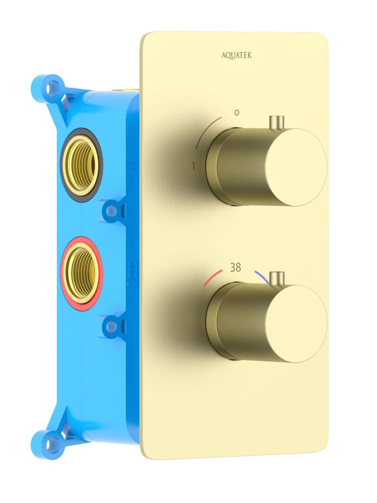 AQ1391BG ЕВРОПА термостатический смеситель для душа (внешняя и скрытая часть), шлиф. золото