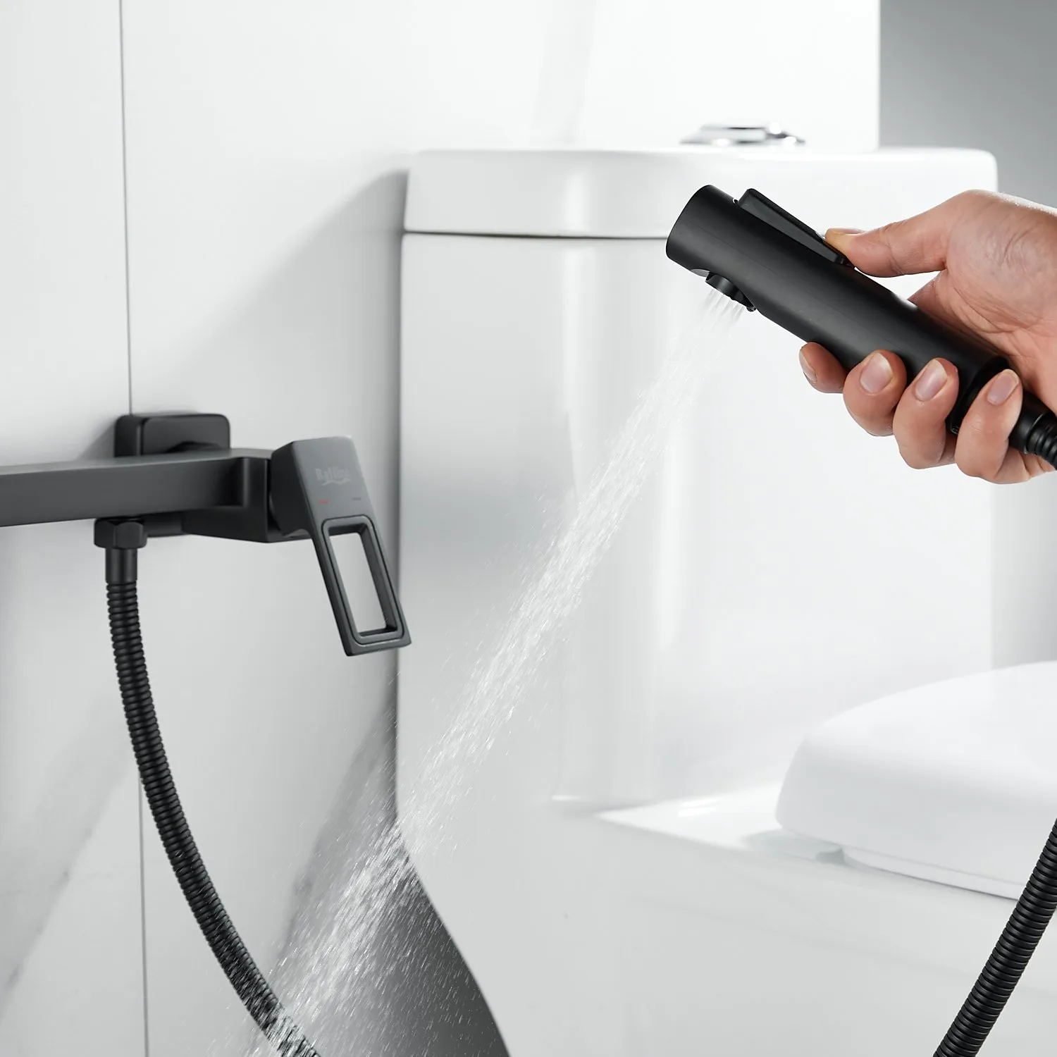 Гигиенический душ со смесителем Raffine F0596H-1, черный