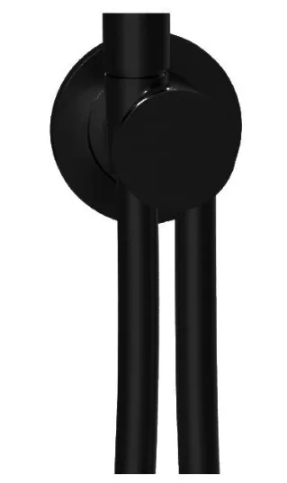 Шланговое подсоединение Almar Showers Accessories с держателем и шлангом, Absolute Black Brushed PVD (E192000.AB)