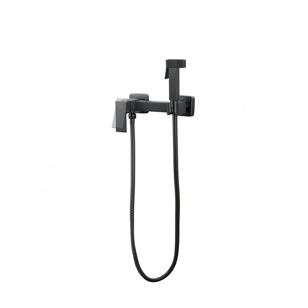 Гигиенический душ со смесителем FILARETE Финг FL111BG, графит