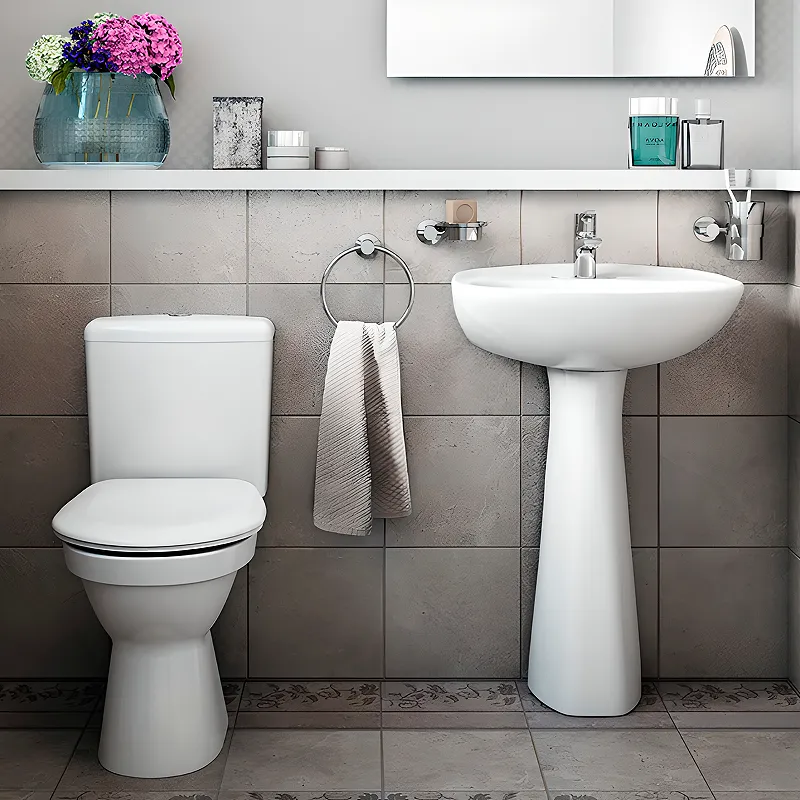 Раковина с пьедесталом Vitra Normus 55 9600B003-7650