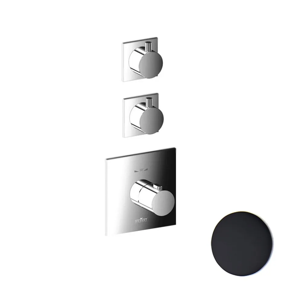 Смеситель для душа встраиваемый с термостатом Webert Elio EL971402560, черный