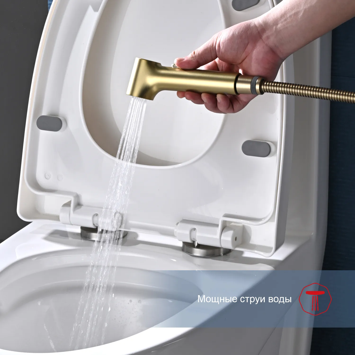 Смеситель Raglo настенный с гигиеническим душем (R03.51.03)