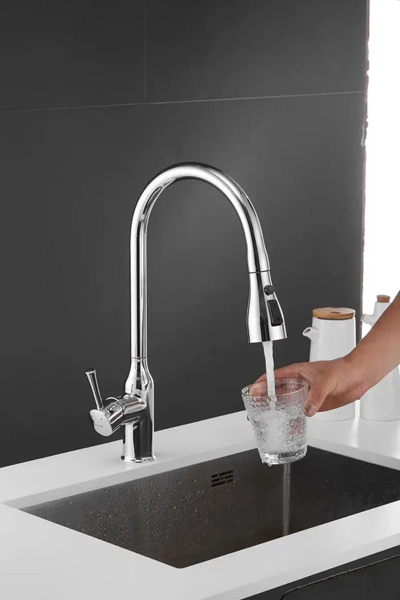 Смеситель для кухни с выдвижным изливом Shevanik S163, хром