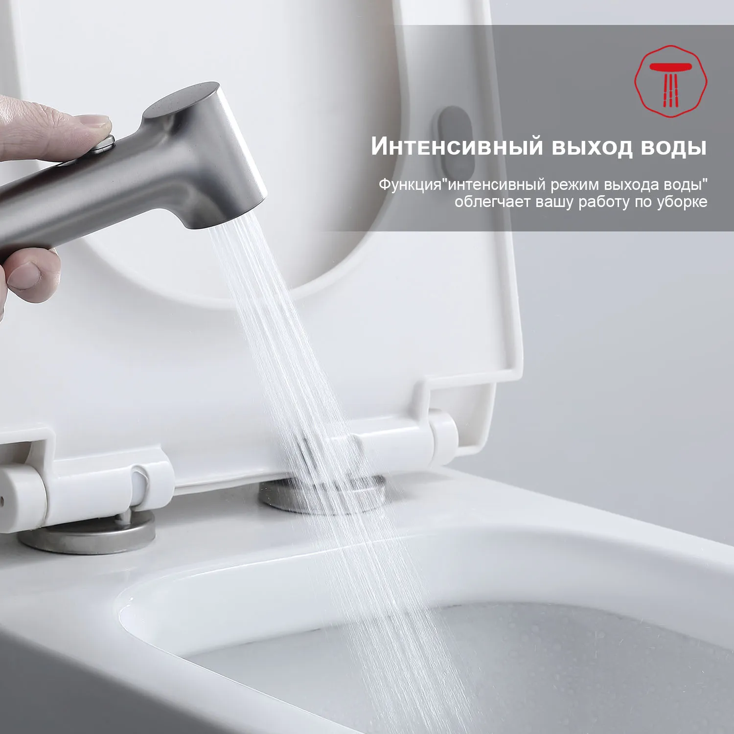 Смеситель Raglo встраиваемый с гигиеническим душем (R03.52.09)