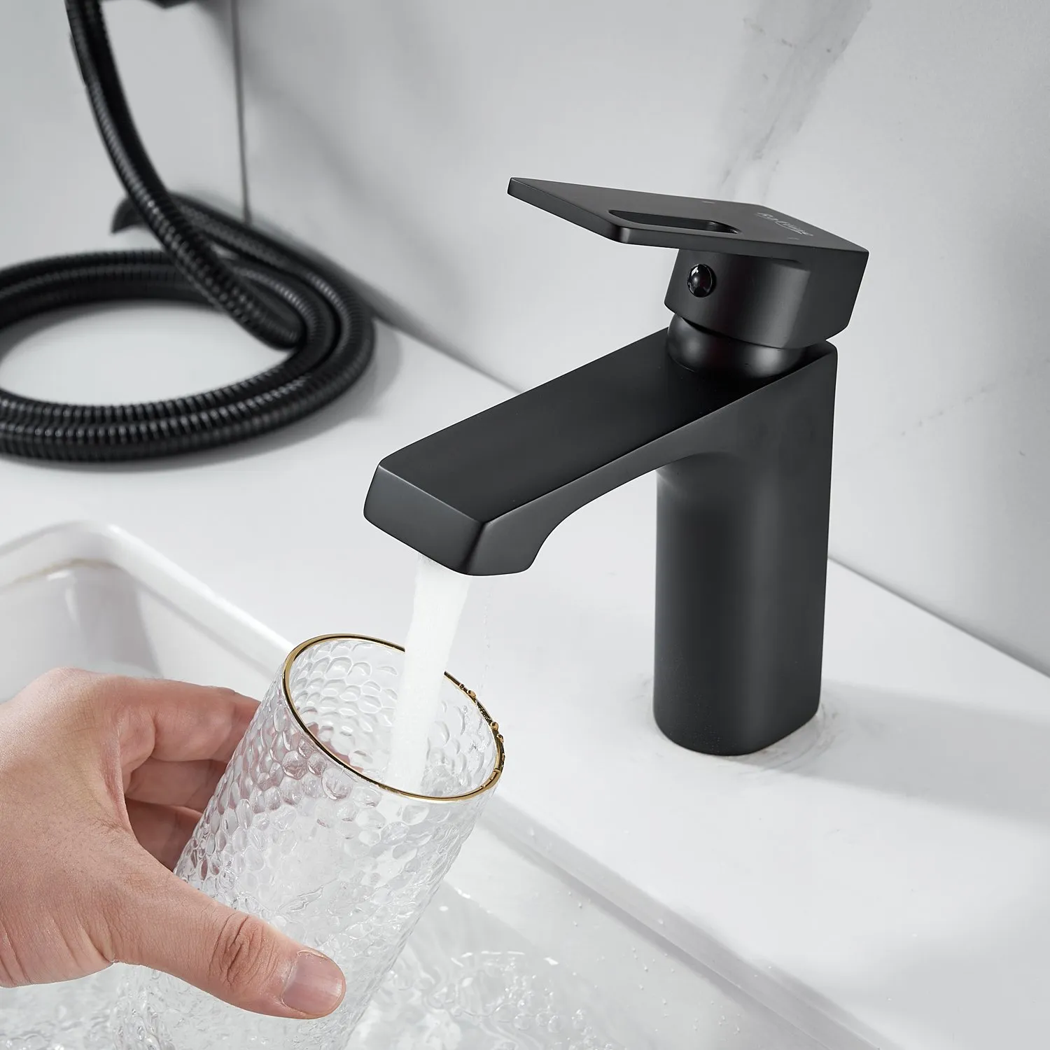 Смеситель для раковины с гигиеническим душем Raffine F171H, черный