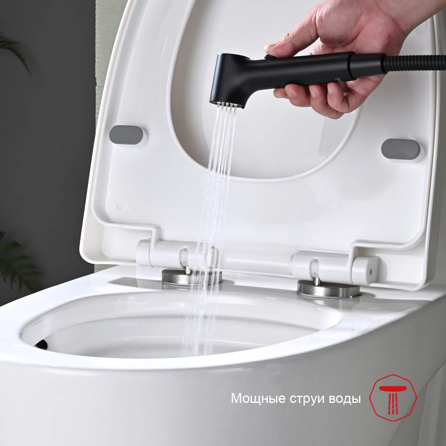 Смеситель Raglo настенный с гигиеническим душем (R03.51.06)