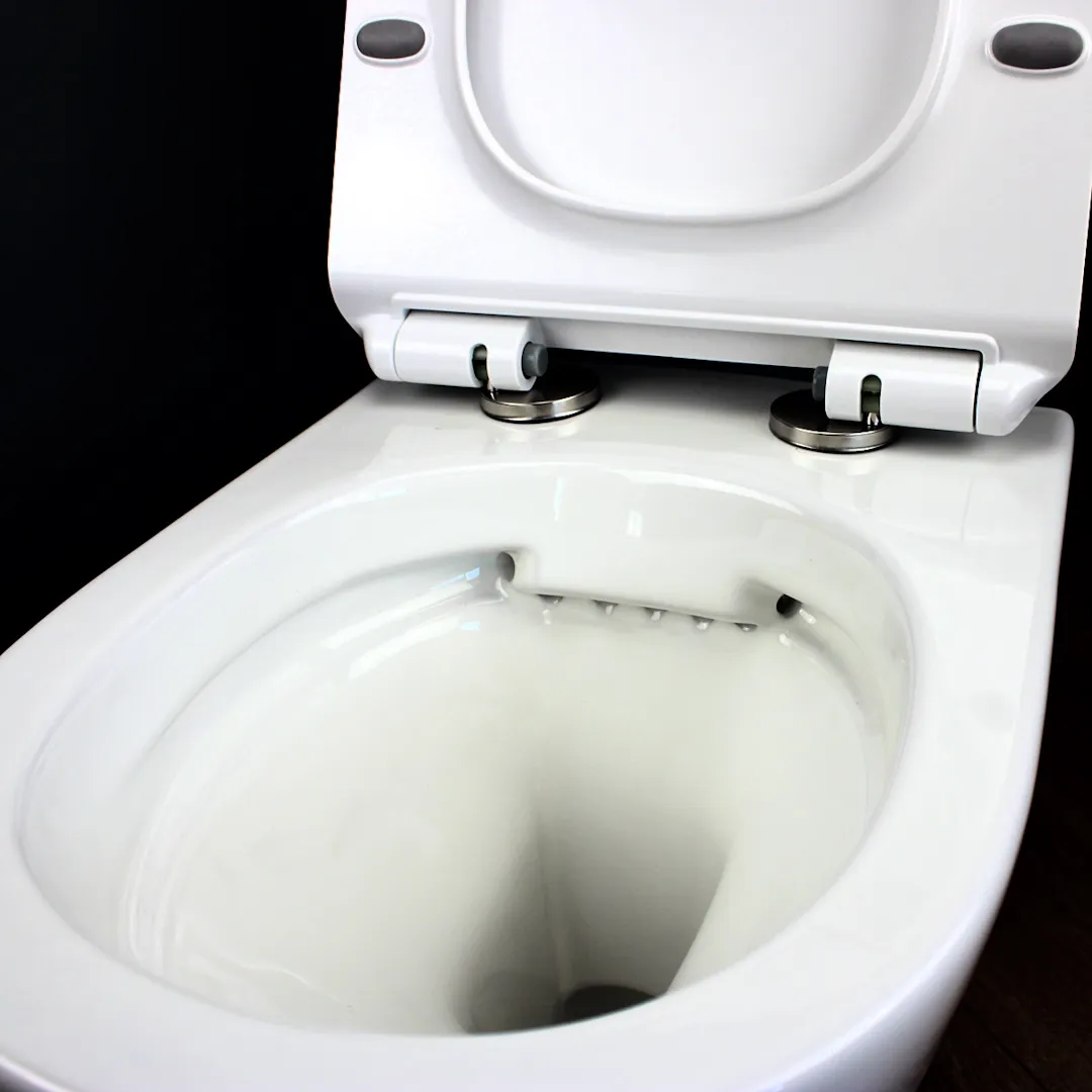 Унитаз подвесной Maretti Elena безободковый с микролифтом, EA10PBM88-844, белый