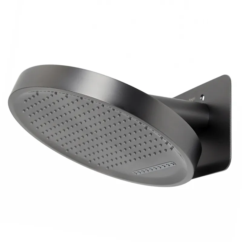 Верхний душ Raglo R452.02.09, графит