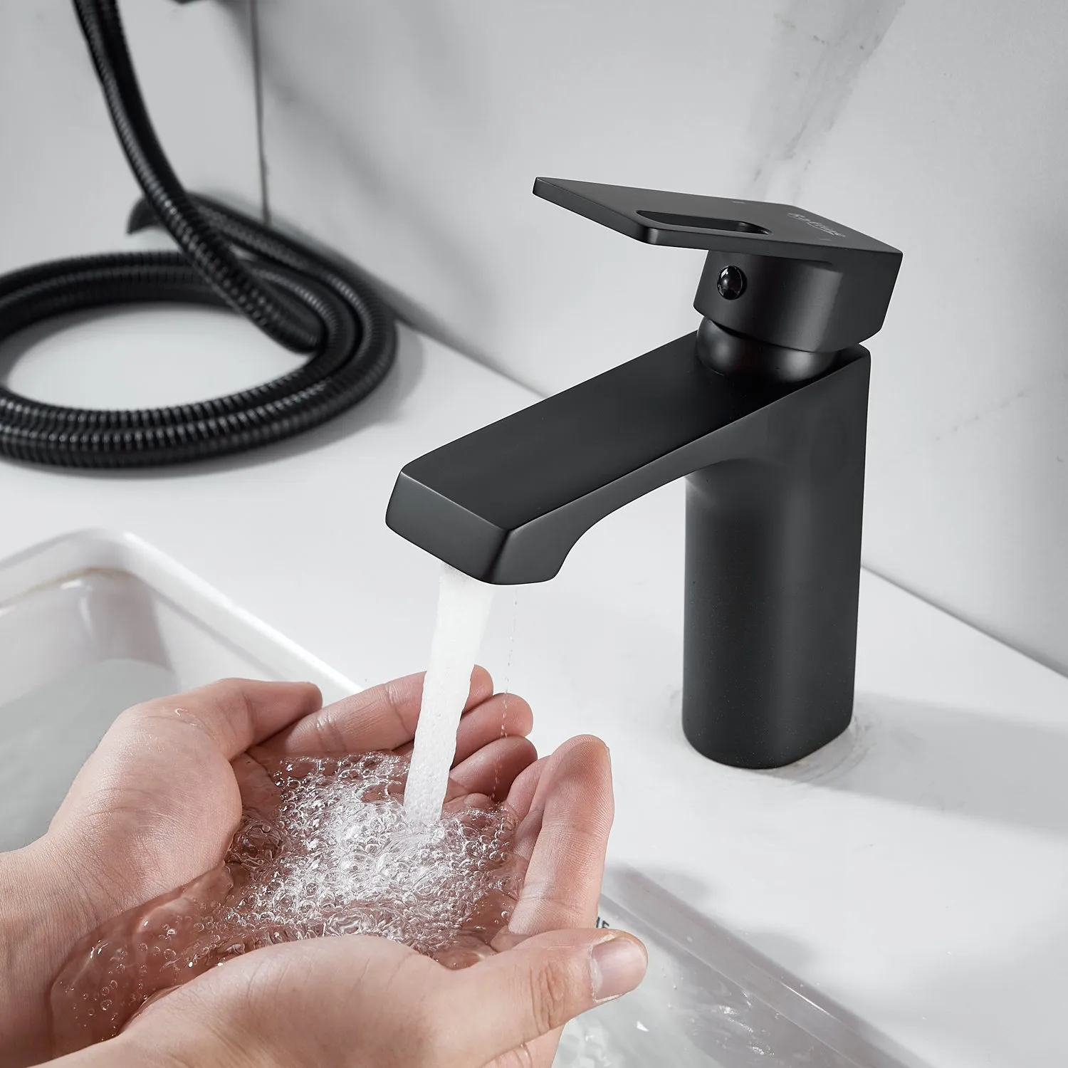 Смеситель для раковины с гигиеническим душем Raffine F171H, черный