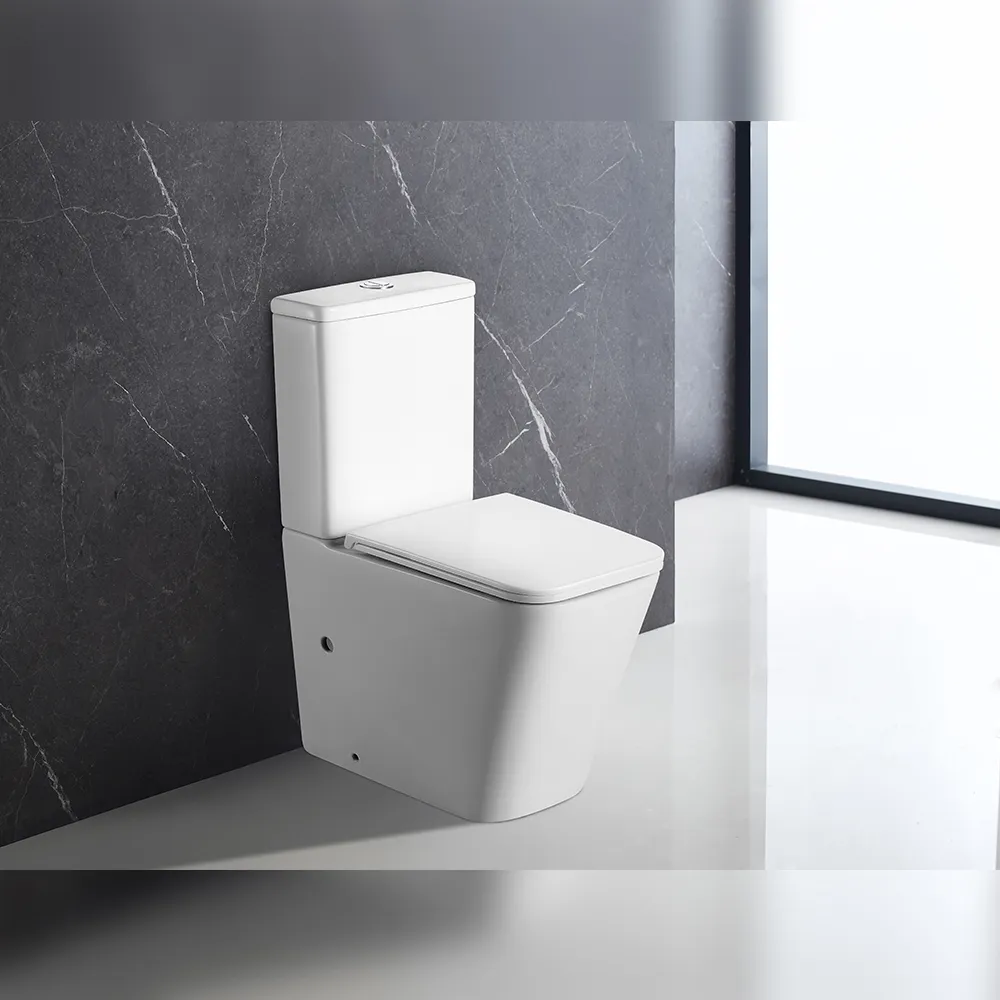 Унитаз напольный Terminus Ватикан (Торнадо 3.0) 12F61x36W, белый