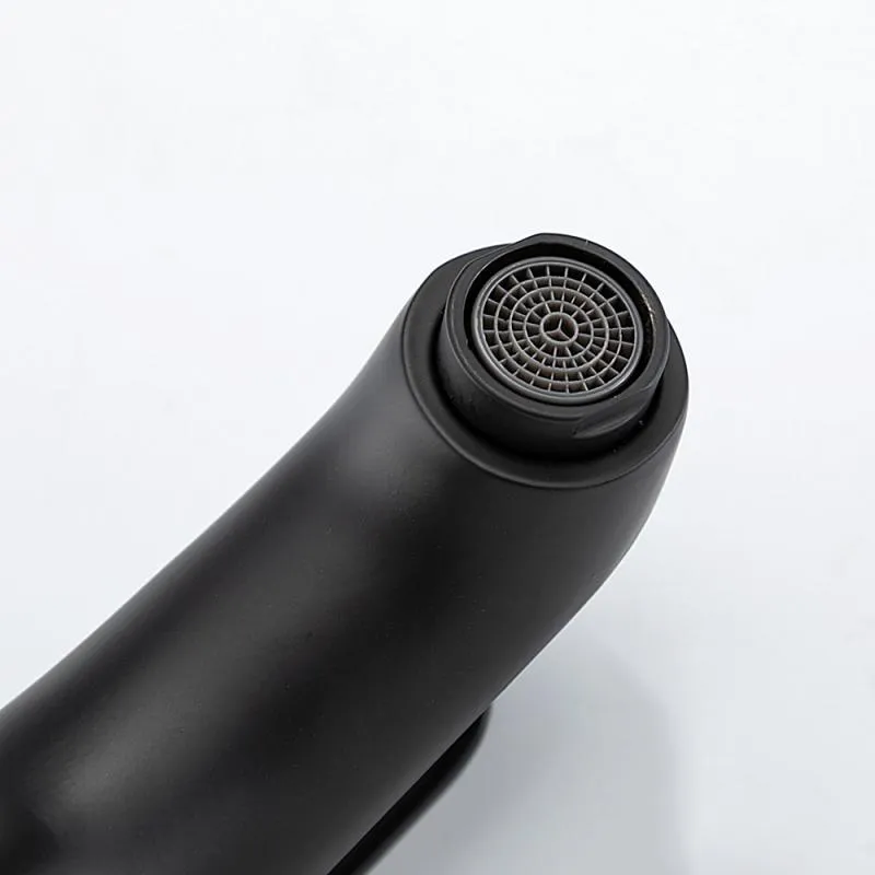Смеситель для раковины Frud R10157-6, черный