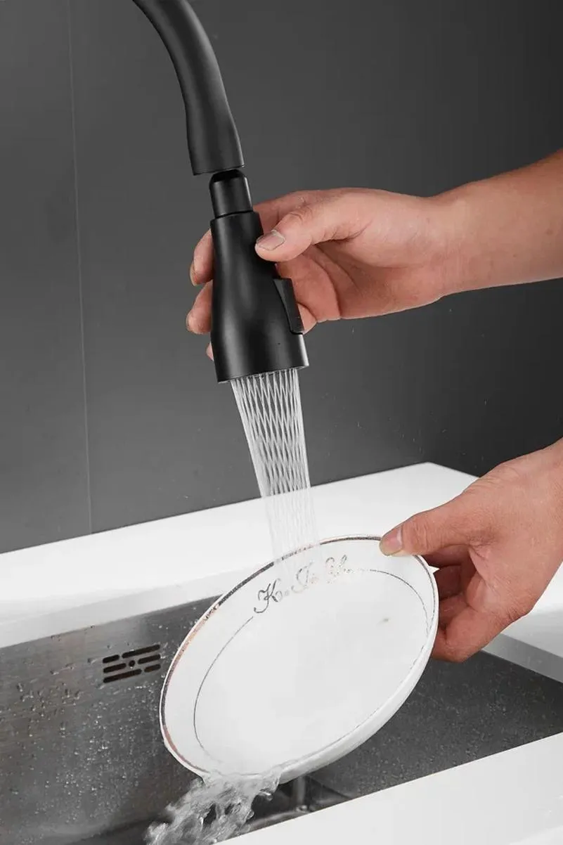 Смеситель для кухни с выдвижным изливом Shevanik S163H, черный