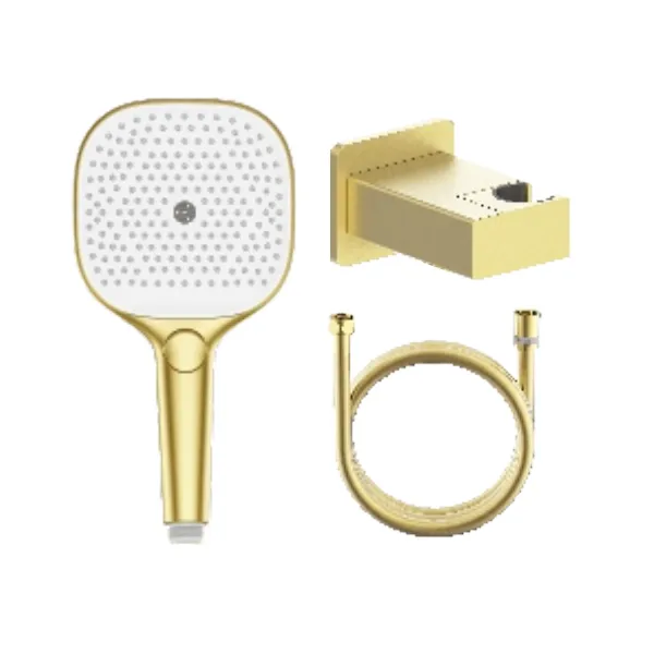 Лейка для душа с держателем и шлангом Raglo R476.41.03, золотой сатин