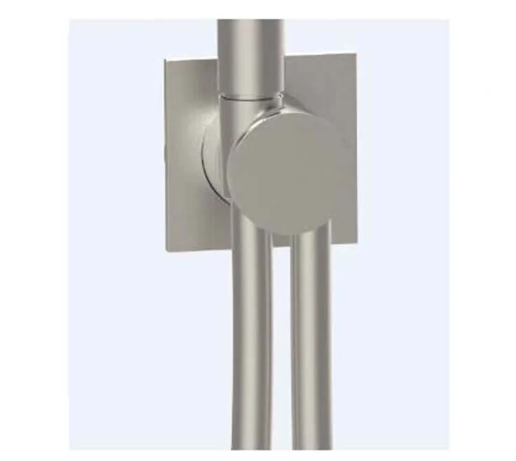 Шланговое подсоединение Almar Showers Accessories с держателем и шлангом, High Brass Brushed PVD (E192001.HB)