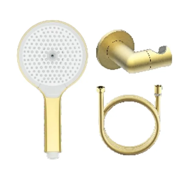 Лейка для душа с держателем и шлангом Raglo R476.43.03, золотой сатин