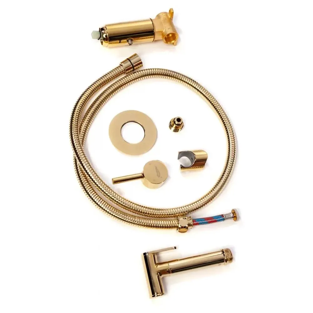 Гигиенический душ со смесителем встраиваемый Hansberge H3099GO, золото