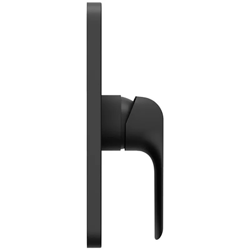 Смеситель настенный без переключателя Ravak FL 066.20 для R-box черный