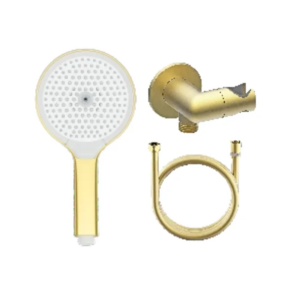 Лейка для душа с держателем (с подключением шланга) и шлангом Raglo R476.42.03, золотой сатин