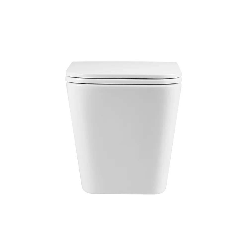 Унитаз подвесной Terminus Ватикан (Торнадо 3.0) 03W49x34W, белый