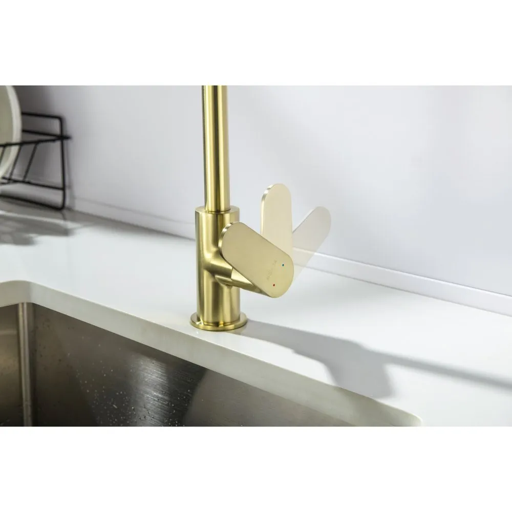 AQ1282BG ОБЕРОН смеситель для кухни, шлиф. золото