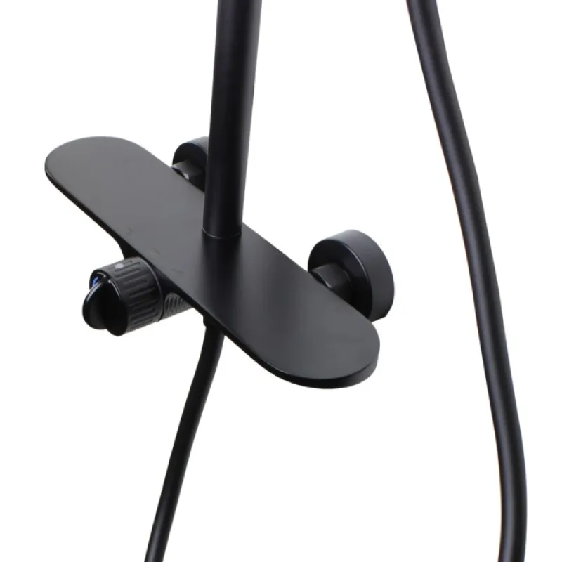 Душевая система Bronze de Luxe ICON 80112CB, черный