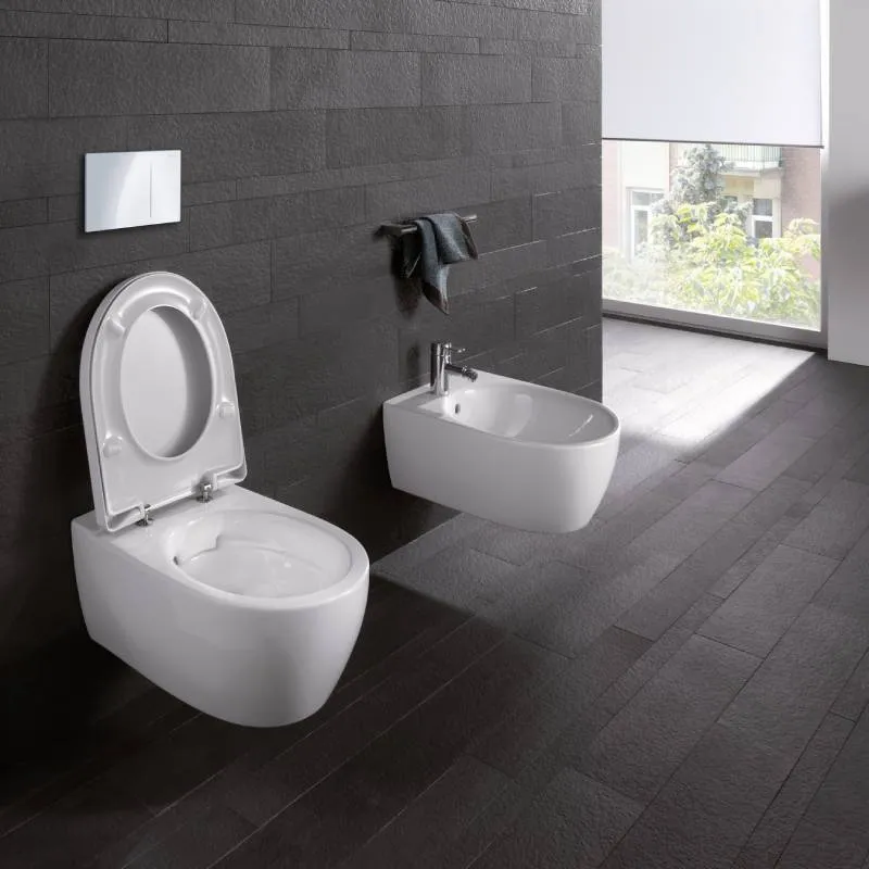 Крышка-сиденье для унитаза Geberit iCon 574130000