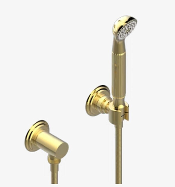 Душевой набор THG Sun Dragon, золотистый PVD (U5D H52 52)