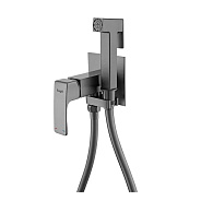 Смеситель Raglo R02.54.09 с гигиеническим душем встраиваемый , графит