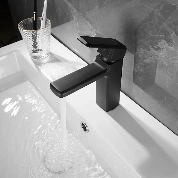 Смеситель для раковины Shevanik S8801H, черный