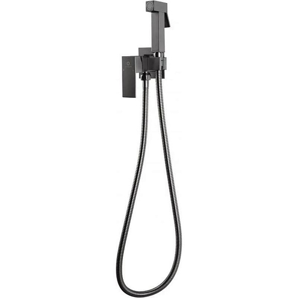 Гигиенический душ со смесителем встраиваемый FILARETE Fing FL101BG, графит